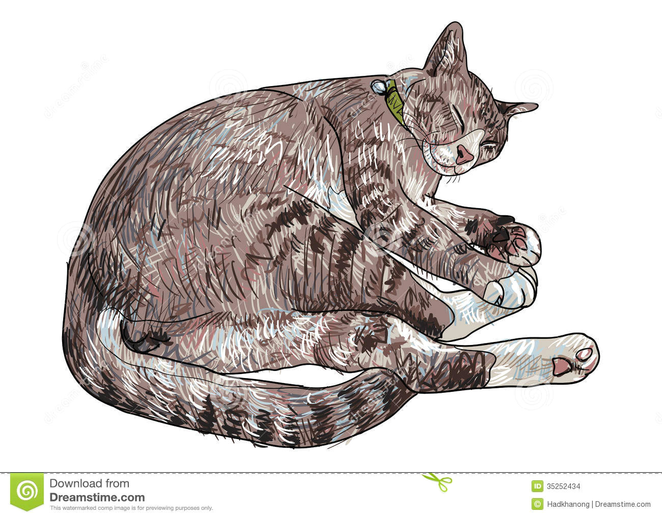 Drawing Of A Sleeping Cat Sleeping Cute Cat Stock Vector Illustration Of isolated 35252434