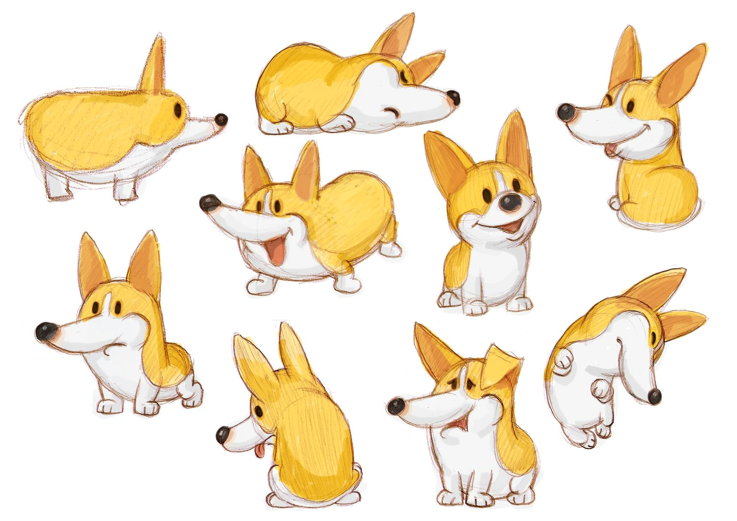 found on google from behance net dog artwork cartoon dog corgis corgi