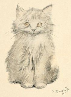 kitten portrait i love all of the cat drawings by oliver herford from this book