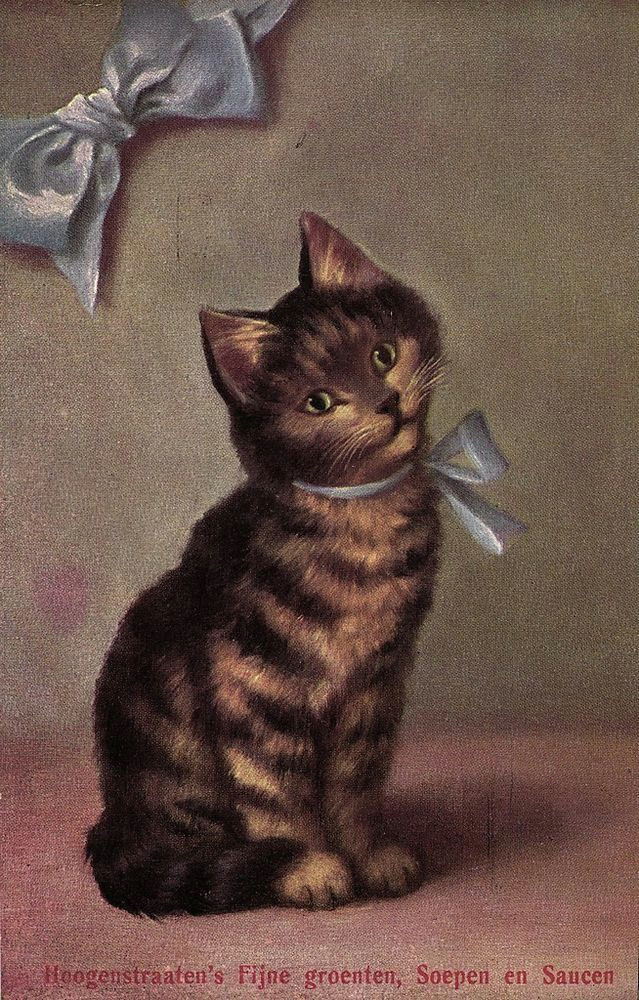 cute cat with ribbon sperlich artist postcard ca 1910 s