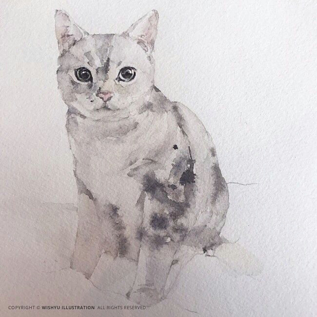 watercolor animals watercolor art drawing lessons drawing ideas cat art cobalt