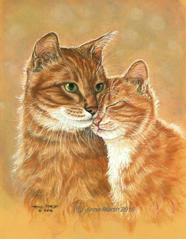 arte watercolor paintings watercolor cat watercolor animals painting prints watercolors cat