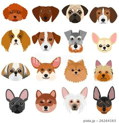 dog pattern dog tattoos dog art small dogs pet shop dog