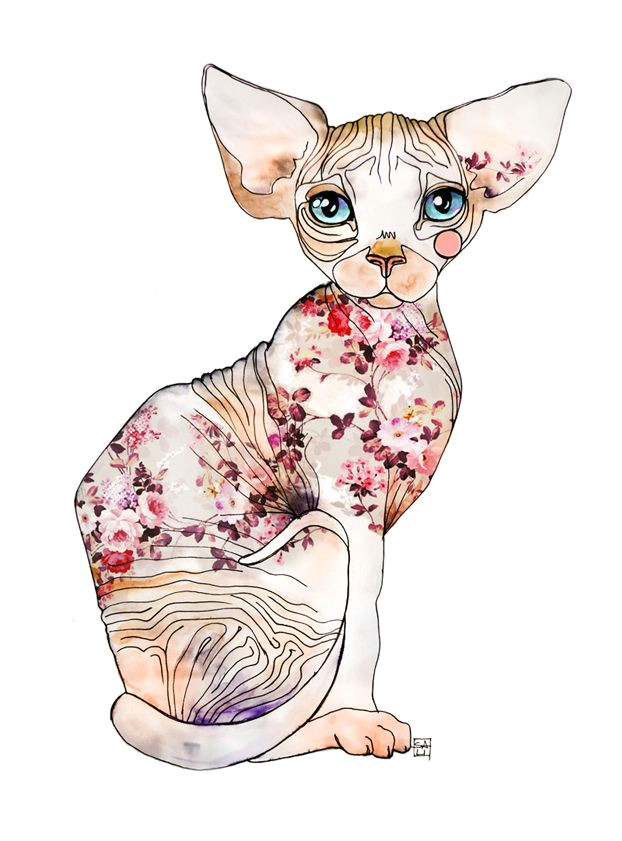 100 tumblr hairless cats chat sphynx sphinx tattoo anubis tattoo