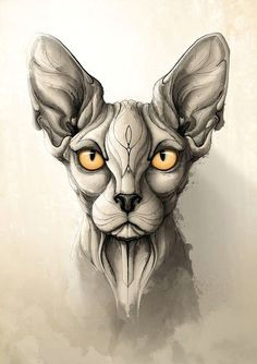 rafapasta ilustrador wild animals katzen zeichnungen dunkle kunst idee tattoo tattoo