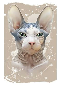 f3de8c708bc4e5794c7713967661504f sphinx cat drawing sphynx jpg 236a 333