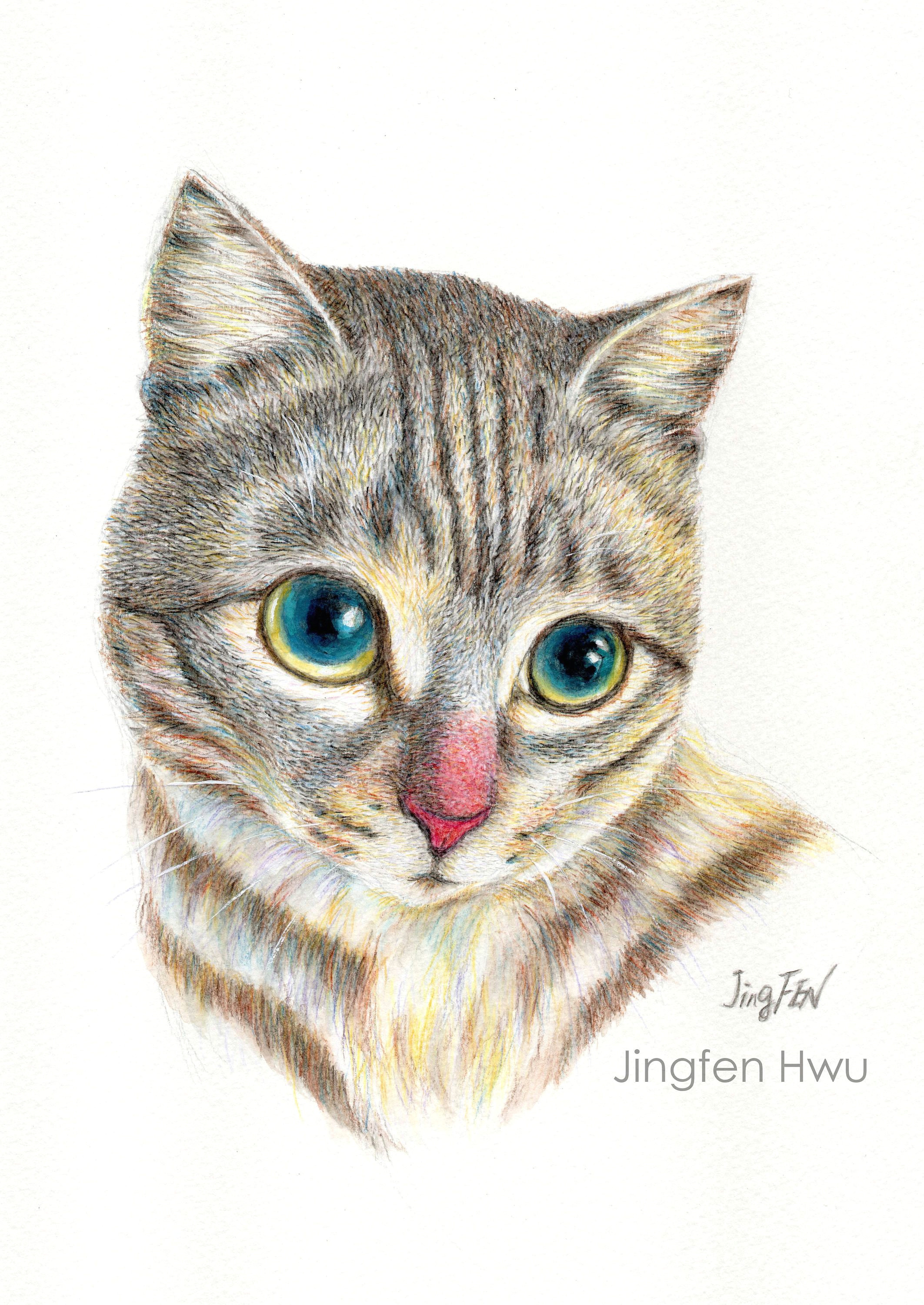 cat art print of a grey tabby cat portrait