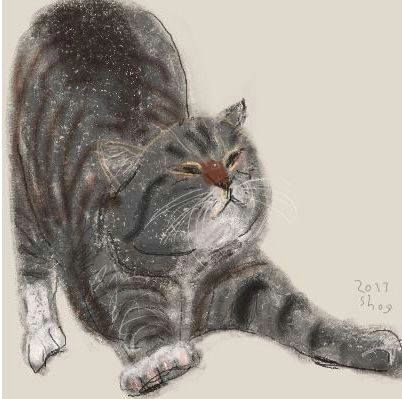 dog cat cat paws pintura china illustration art cat illustrations art