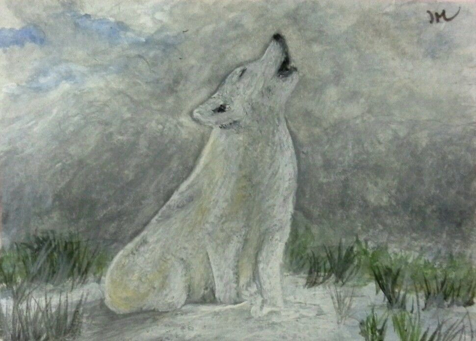 aceo tw dec original painting timber wolf howling xmas by ian metcalfe