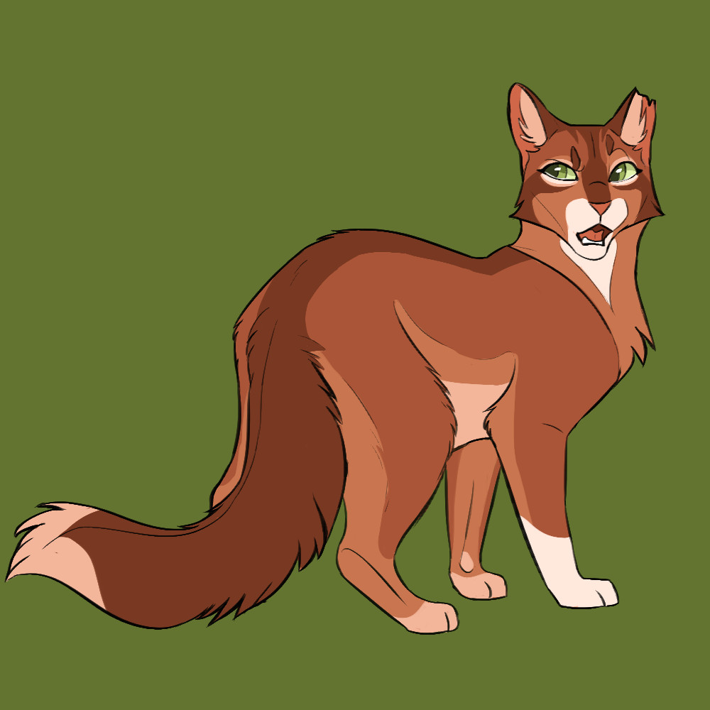 squirrelflight by climbtothestars on deviantart tap the link now to see all of our cool cat collections