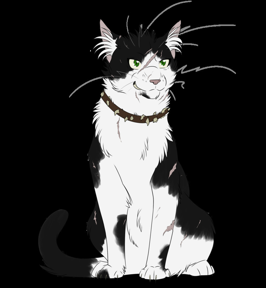 warrior cats 038 bone by kuroi hitsuji