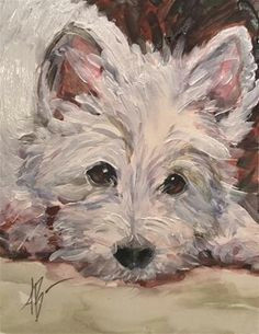 daily paintworks a young westie waiting original fine art for sale