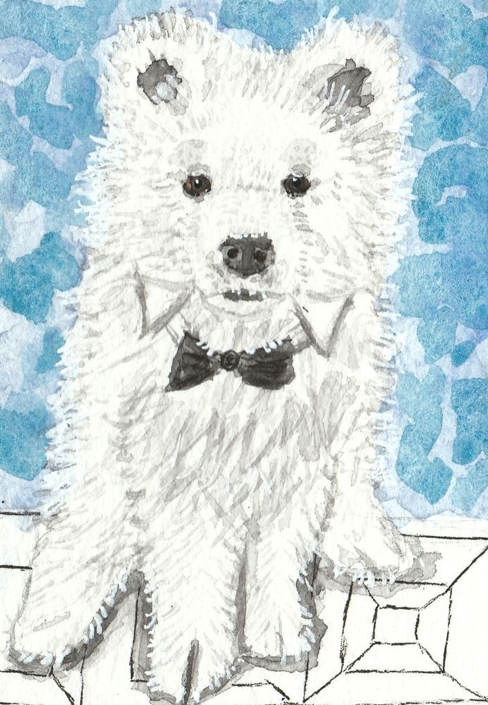 details about samoyed white dog watercolor aceo original painting my artworks pinterest white dogs original paintings and watercolor