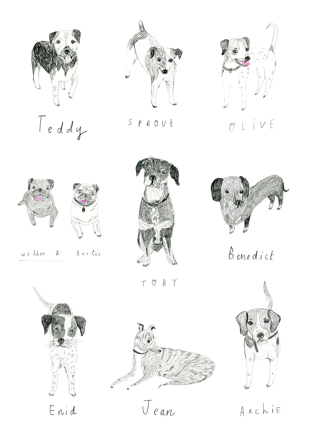 dog illustrations i did for boden http www raisinheart com