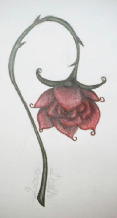 Drawing Of A Wilting Rose Abstract Rose A Wilted Rose Rose Drawings Wilted Rose