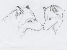 easy drawing of animals wolf sketch by greywolves redroses easy animal drawings cute