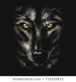 hand drawing portrait of a black wolf on a black background