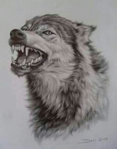 wolf tattoos animal tattoos wolf sketch arte legal animal drawings pencil