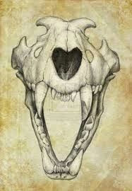 image result for wolf skull tattoo animal skull drawing animal skulls animal drawings