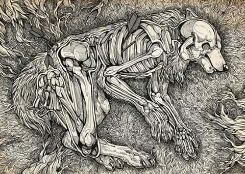 skeleton art skeleton drawings art drawings human skeleton skull painting