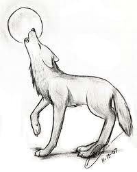 wolf sketch wolf drawing easy fox drawing drawing tips drawing sketches dog