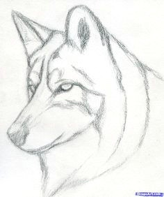 how to draw a wolf head mexican wolf step 3 dog drawing easy simple