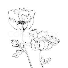 buy the royalty free stock vector image black and white sketch with flowers online a all rights included a high resolution vector file for print web