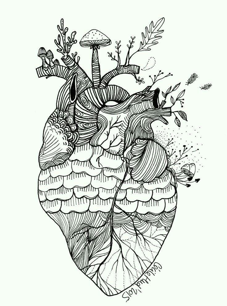 cecile heart art my heart zentangle human heart anatomical heart