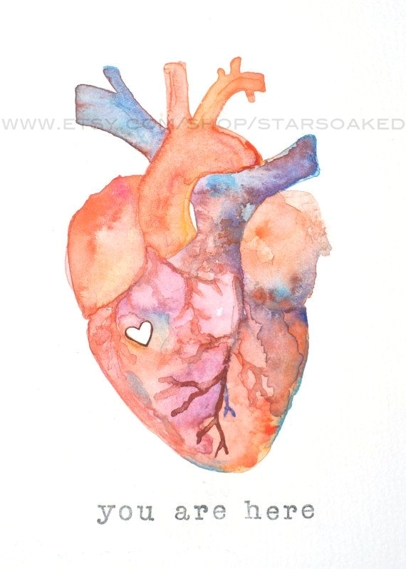 anatomy of love human heart watercolor print