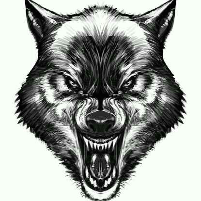 wolf wolf face drawing tribal wolf tattoo wolf tattoos hand tattoos werewolf