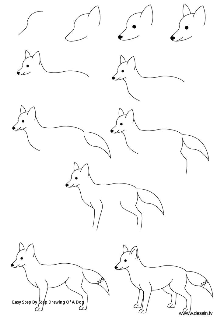 easy step by step drawing of a dog 289 best helpful how to images on pinterest