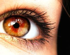 amber eyes ii