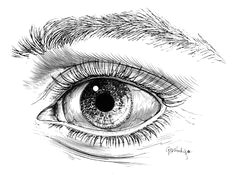 this is the pen ink eye illustration that jerry is so well known for it is done using the eyelashing pen ink technique this uses a metal dip pen