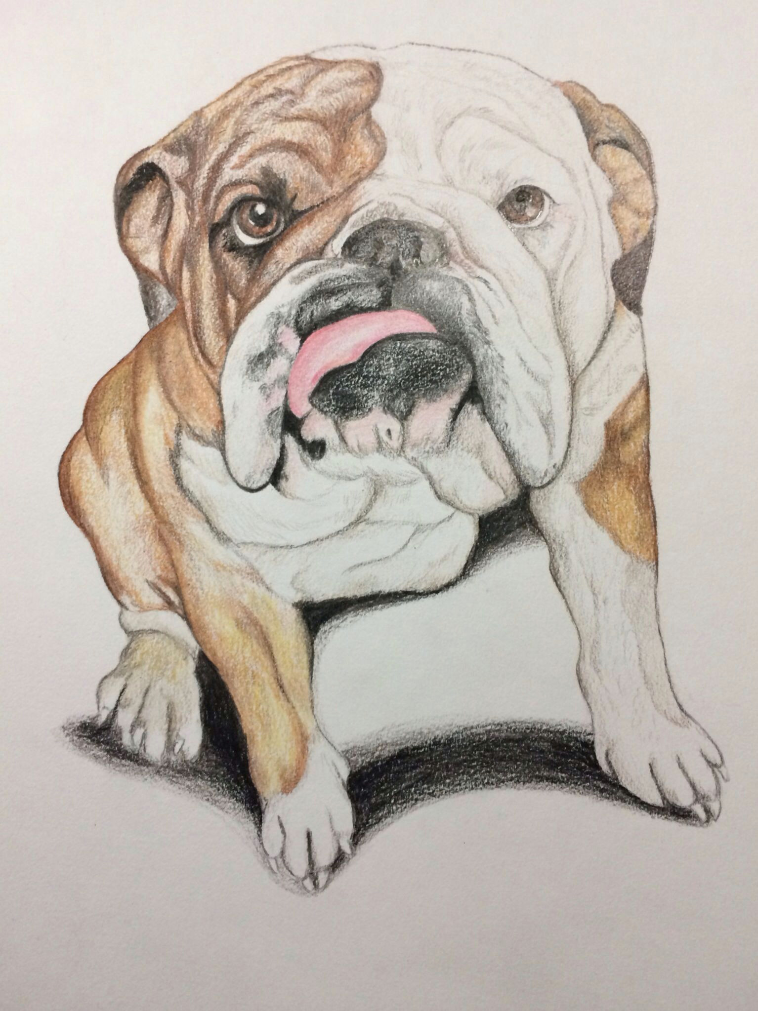 i love drawing and bulldogs are my specialty follow me on instagram and twitter artisticbulldog