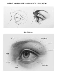 for people who love to draw eye