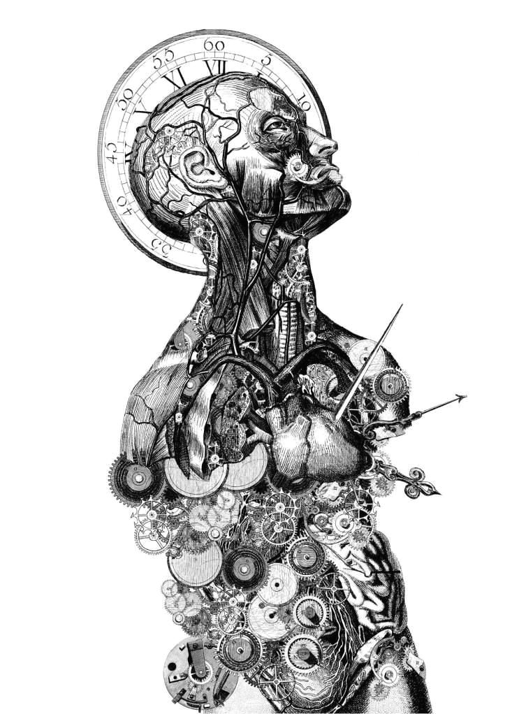 art drawing illustration anatomy skeleton humanbody man