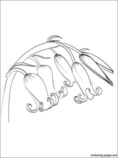 bluebell coloring page for free coloring pages motif design floral wall art pictures