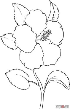 always wanted to draw one of these hibiscus flowers flower coloring sheets flower