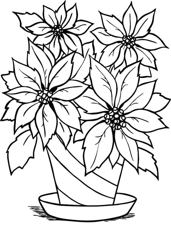 charming poinsettia flower in flowerpot coloring page