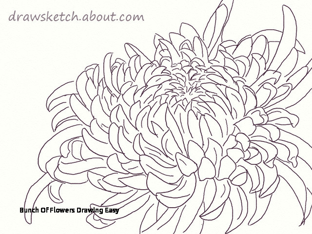 bunch of flowers drawing easy learn how to draw an ogiku chrysanthemum bloom of bunch of