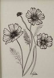 cosmos flower drawingsi e i i e i e i e e