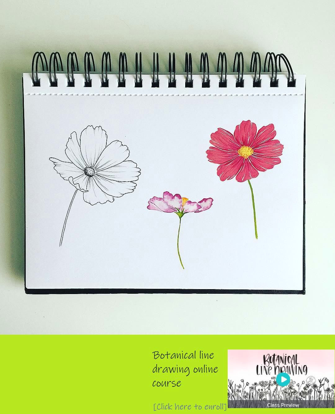 here s my cosmos flowers three different ways for inktober with allikdesign i used the