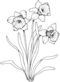 flowers coloring pages super coloring part 3 bezplatne omalovanky omalovanky k tisku