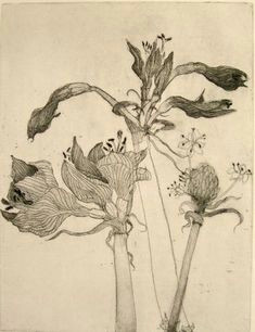 artist katie degroot makes that point wonderfully in her tribute to dead flowers intaglio