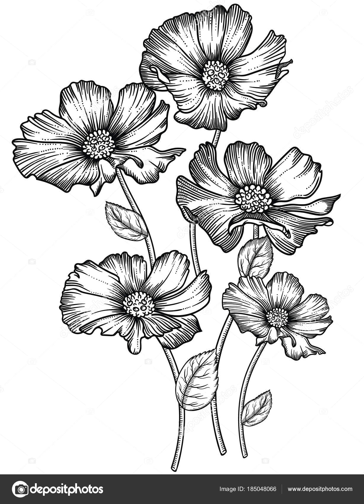 blooming forest flowers detailed hand drawn vector illustration romantic decorative flower drawing in line art all sketches objects isolated on white