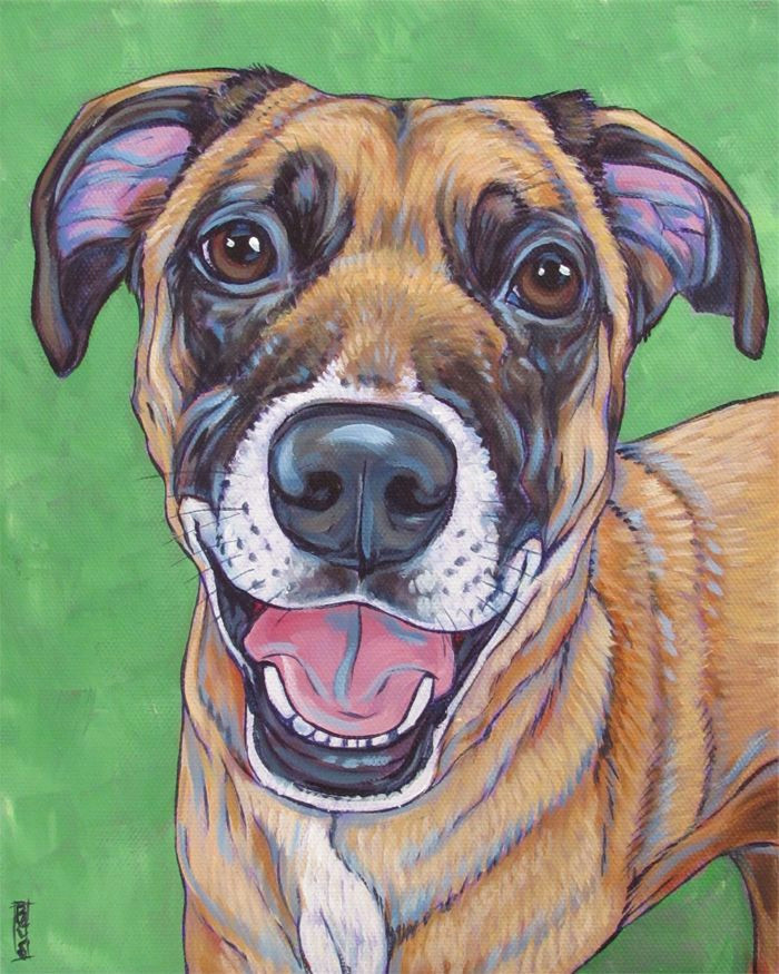 belgian malnois mixed breed dog custom pet portrait painting in acrylics on 8 x 10 stretched canvas from pet portraits by bethany