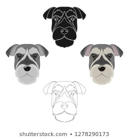 dog breed dalmatian muzzle of a dalmatian single icon in cartoon style vector symbol