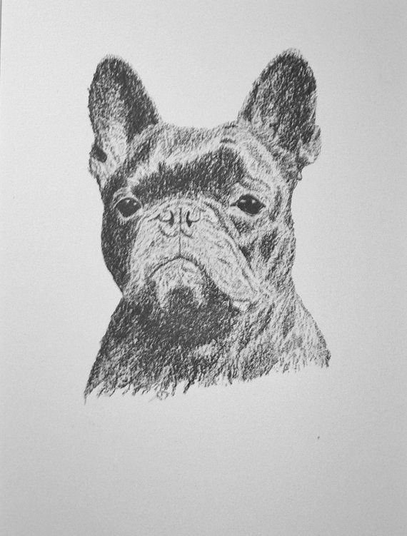 1935 french bulldog vintage original c francis by hollysprints a 12 95