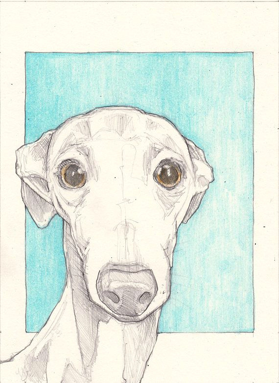 italian greyhound drawing an original 7 5x5 5