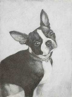 reminds me of my beautiful boston terrier bubbles who is no longer with us